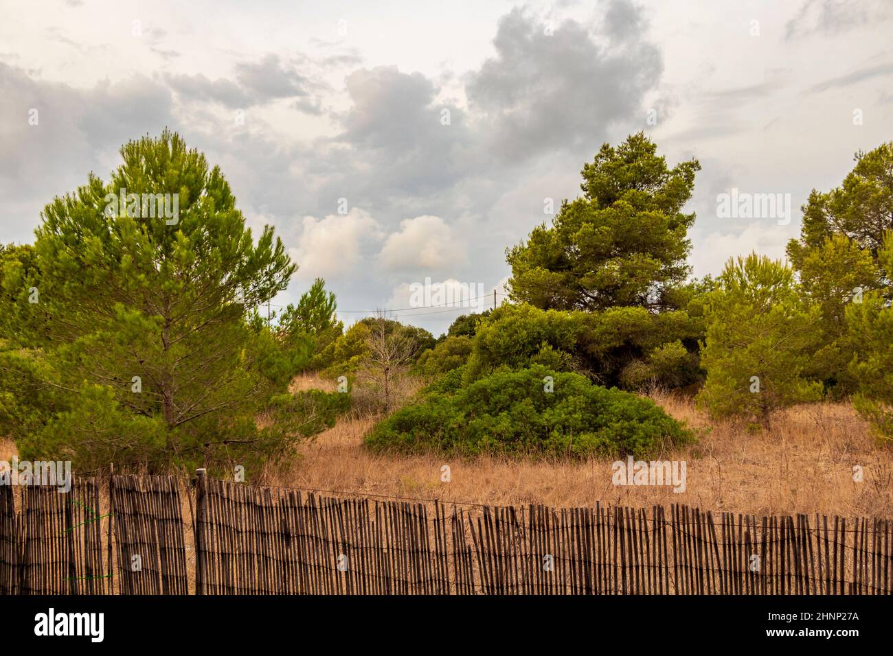 Giardino naturale abbandonato con recinzione sull'isola di Maiorca. Foto Stock