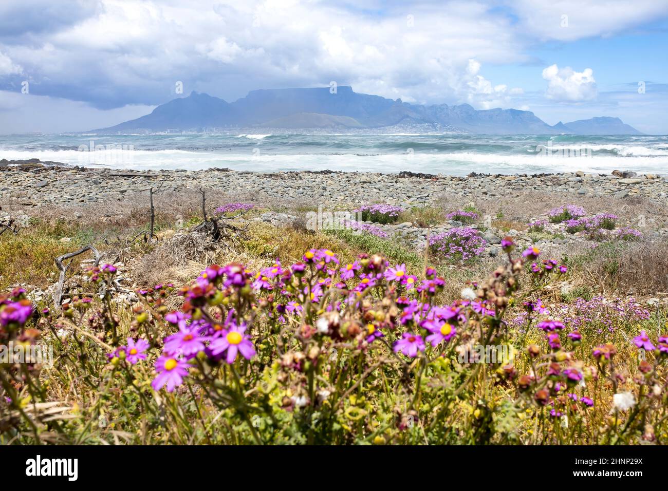 Table Mountain da Robben Island, Sudafrica Foto Stock