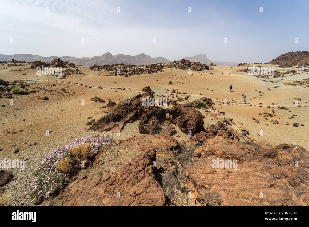 Paesaggio desertico dalla caldera di Las Canadas del vulcano Teide. Mirador (punto di vista) Minas de San Jose sur. Tenerife. Isole Canarie. Spagna. Foto Stock