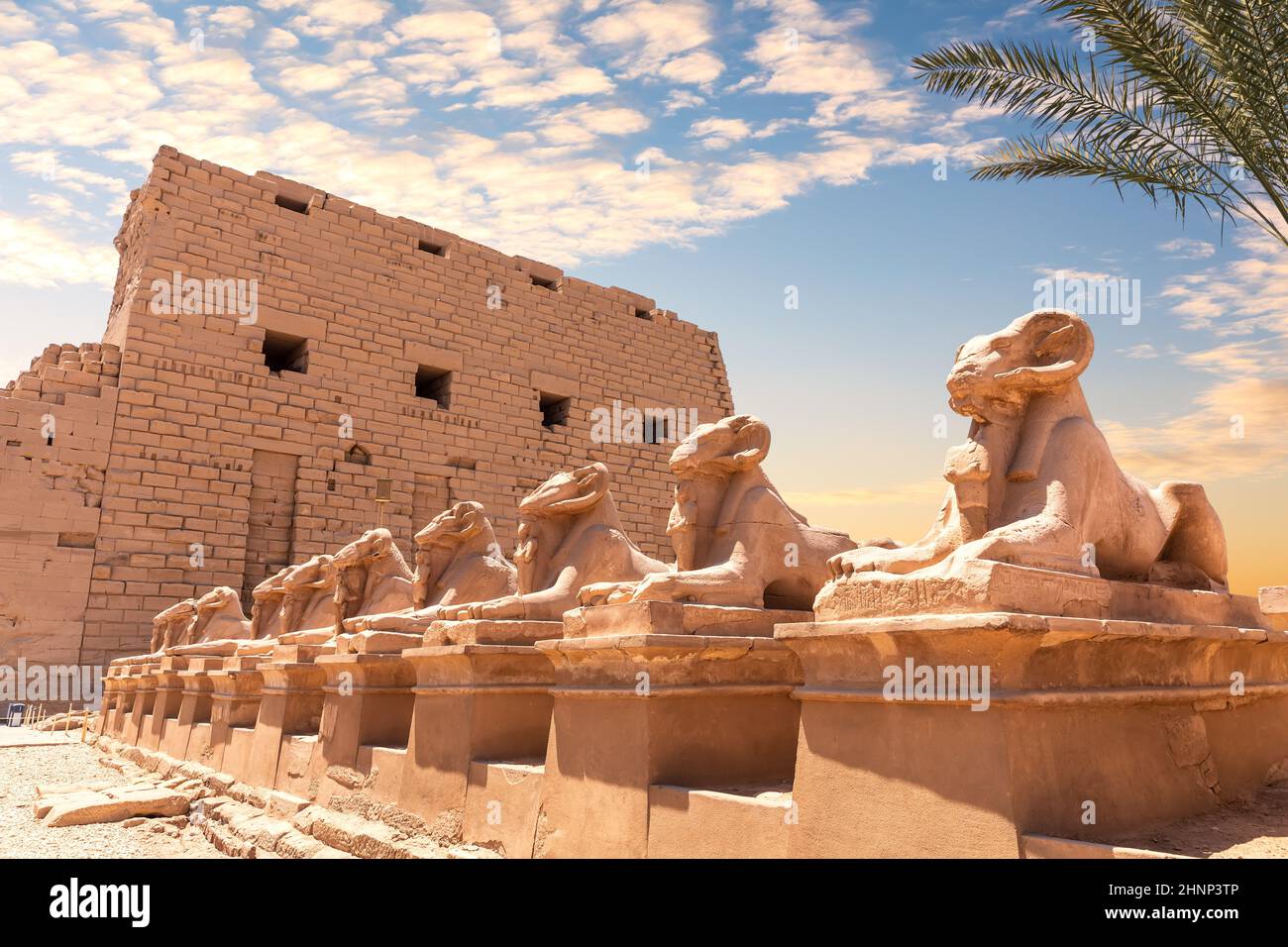 Tempio di Karnak, un viale di sfingi a testa umana, Luxor, Egitto Foto Stock