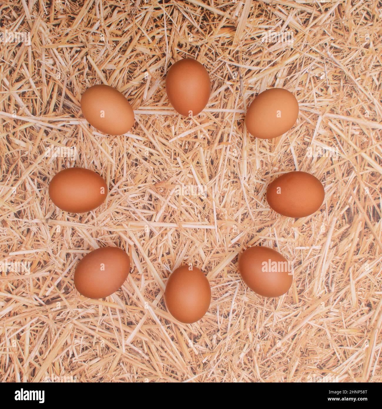 Uova fresche naturali in cerchio su sfondo di paglia. Scena d'epoca di Pasqua realistica. Disposizione piatta Foto Stock