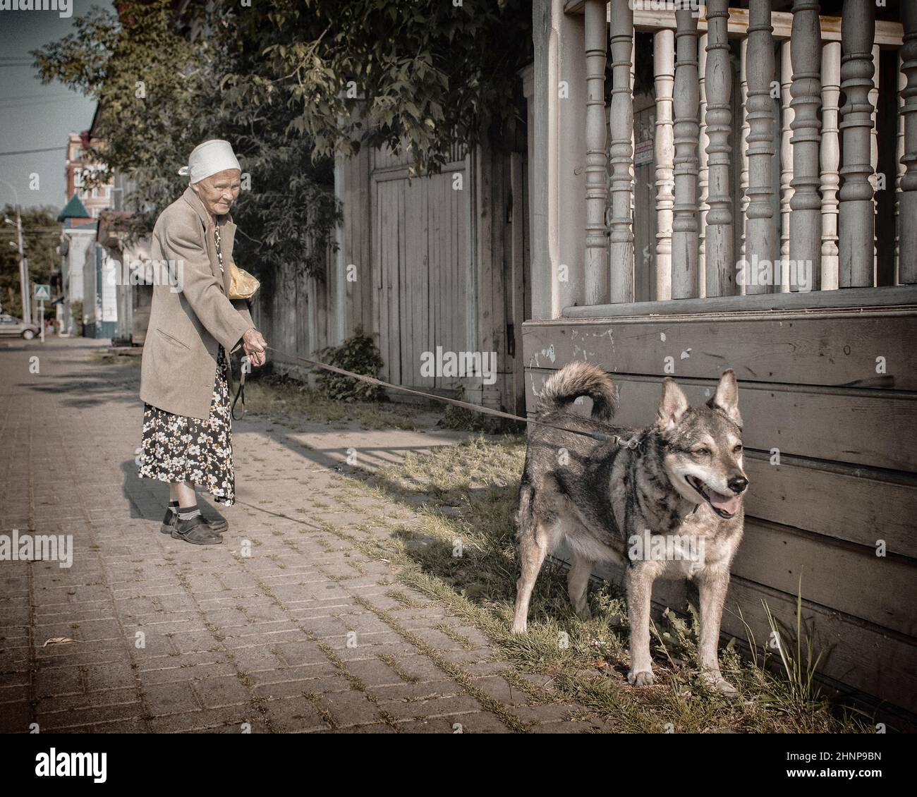 19th del 2018 luglio, Russia, Tomsk, donna anziana con cane per strada Foto Stock