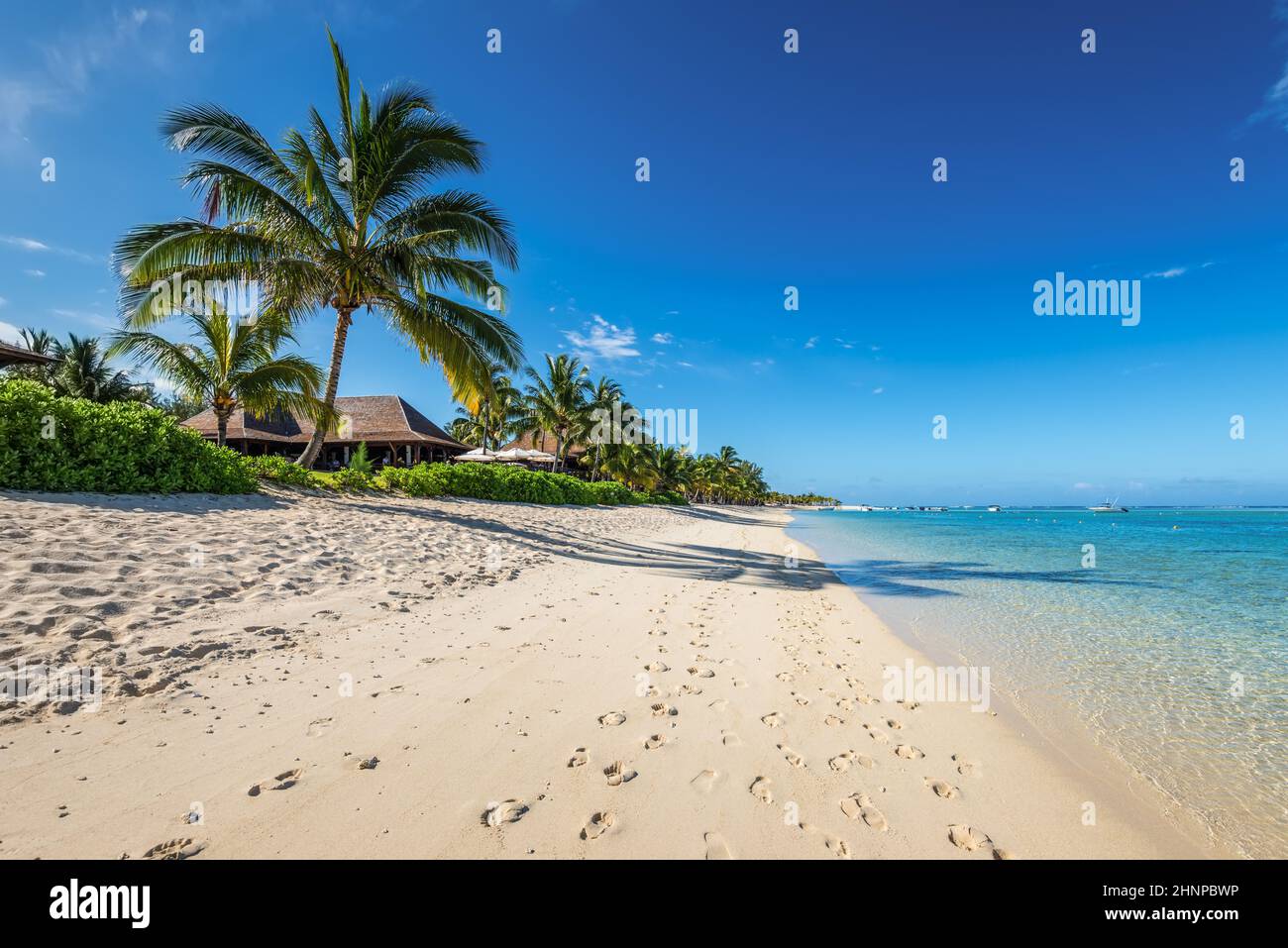 Vacanze rilassanti nel paradiso tropicale. Isola Mauritius. Foto Stock