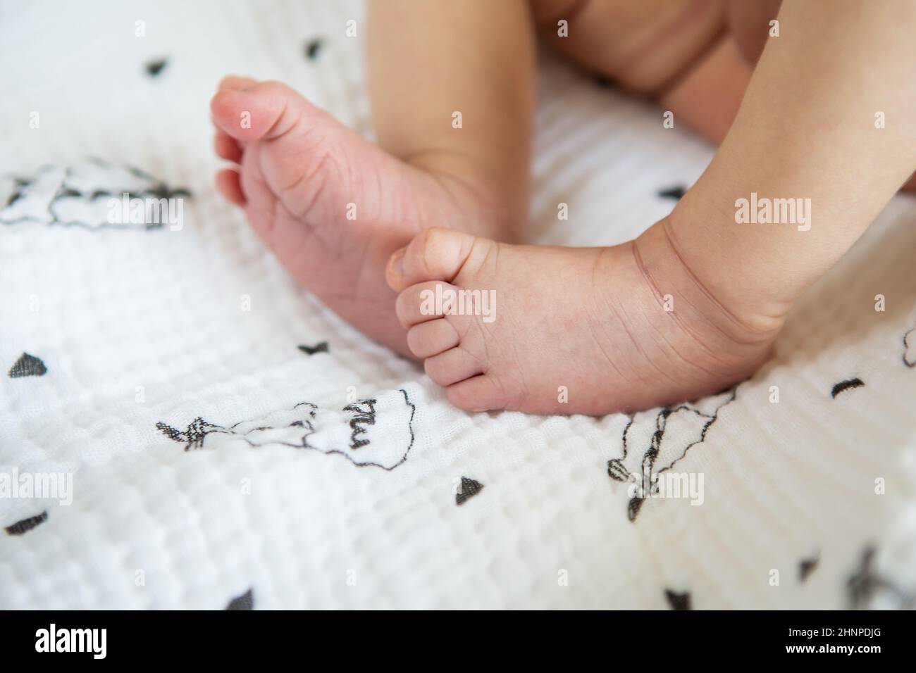 Piedi piccoli di un neonato. Il concetto di maternità, allattamento al seno. Foto Stock