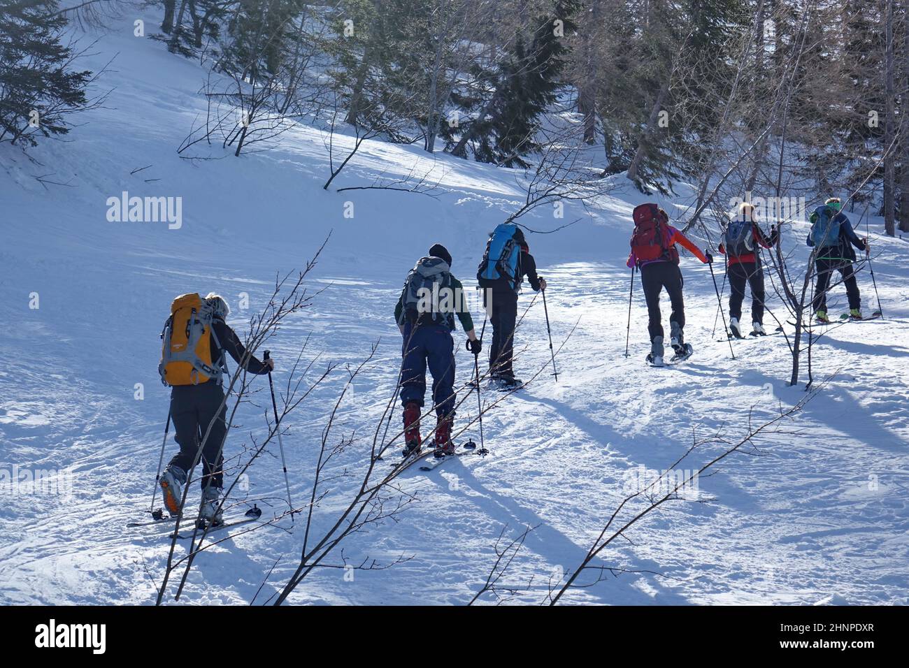 Baviera, alta Baviera, monti Chiemgauer, sciatori, racchette da neve, Sport invernali, neve, inverno, paesaggio Foto Stock