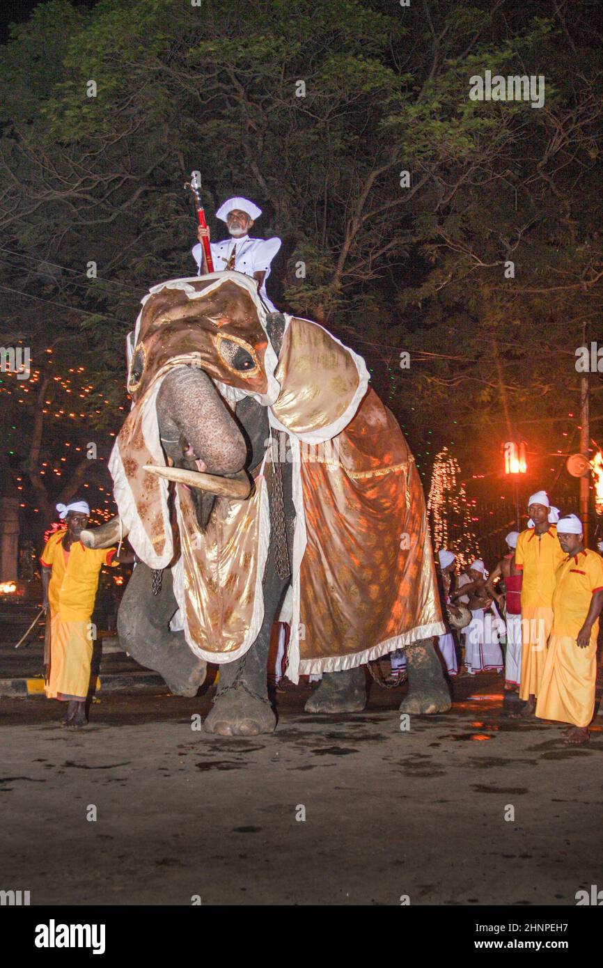 Gli elefanti decorati con mahouts partecipano al festival Pera Hera a Kandy per celebrare il dente di Buddha Foto Stock