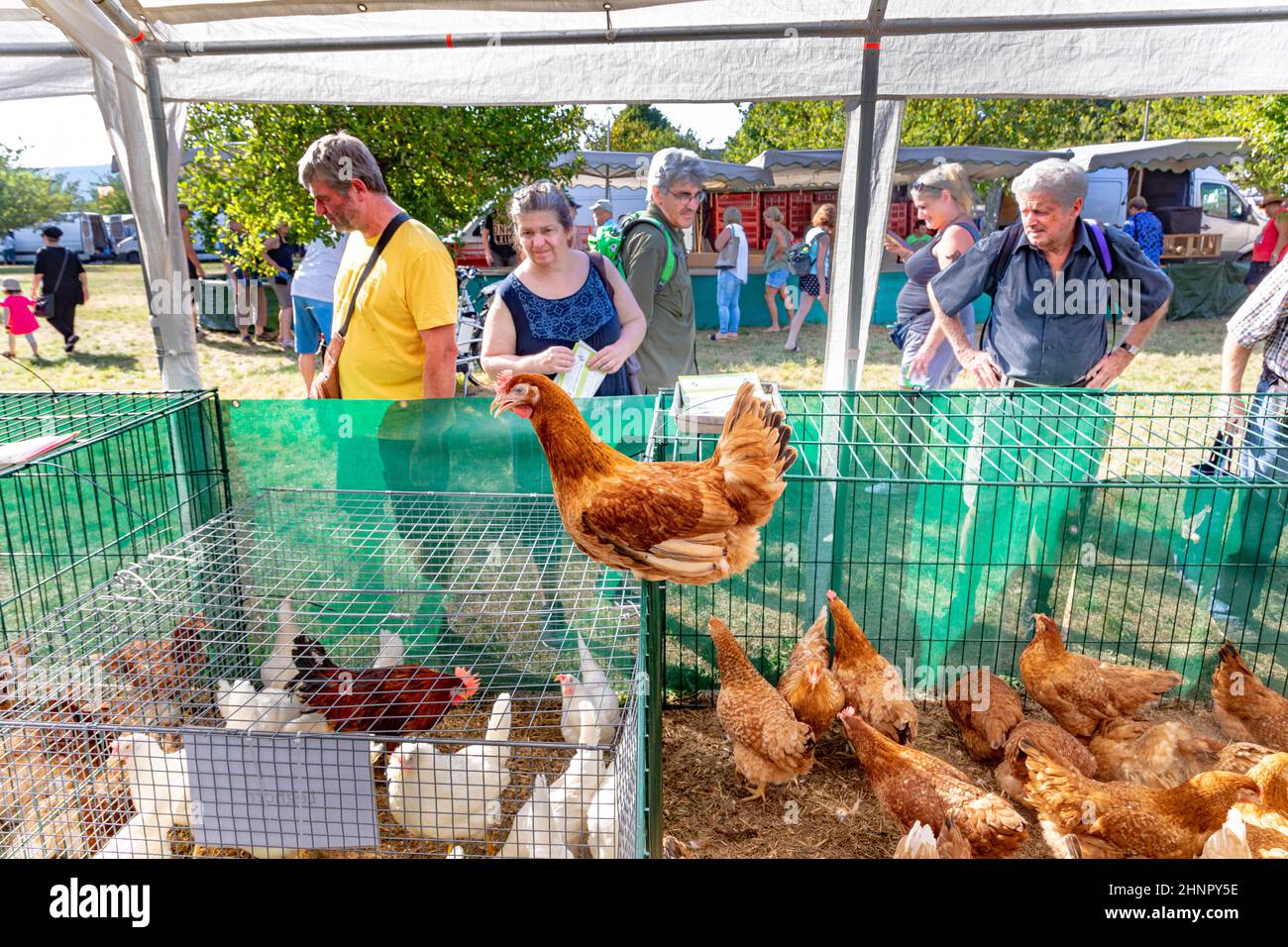 L'originale mercato di Alteburger era un mercato per la vendita di animali da fattoria. Oggigiorno vendono pollo e altri prodotti domestici e alimentari Foto Stock