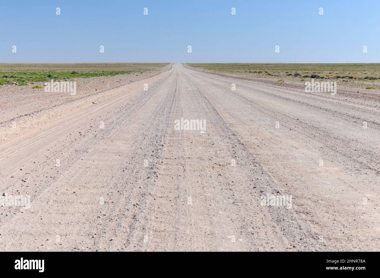 Landschaft mit gerader Strasse Foto Stock