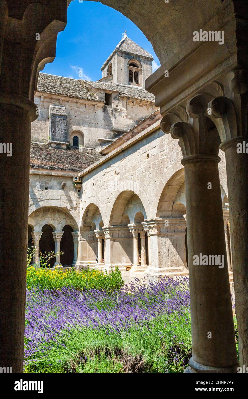 Il chiostro dell'Abbazia di Senanque, Vaucluse, Gordes, Provenza, Francia Foto Stock