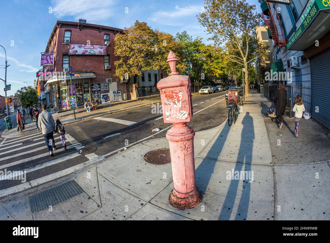 Vecchio telefono vittoriano sos a Brooklyn, New York Foto Stock