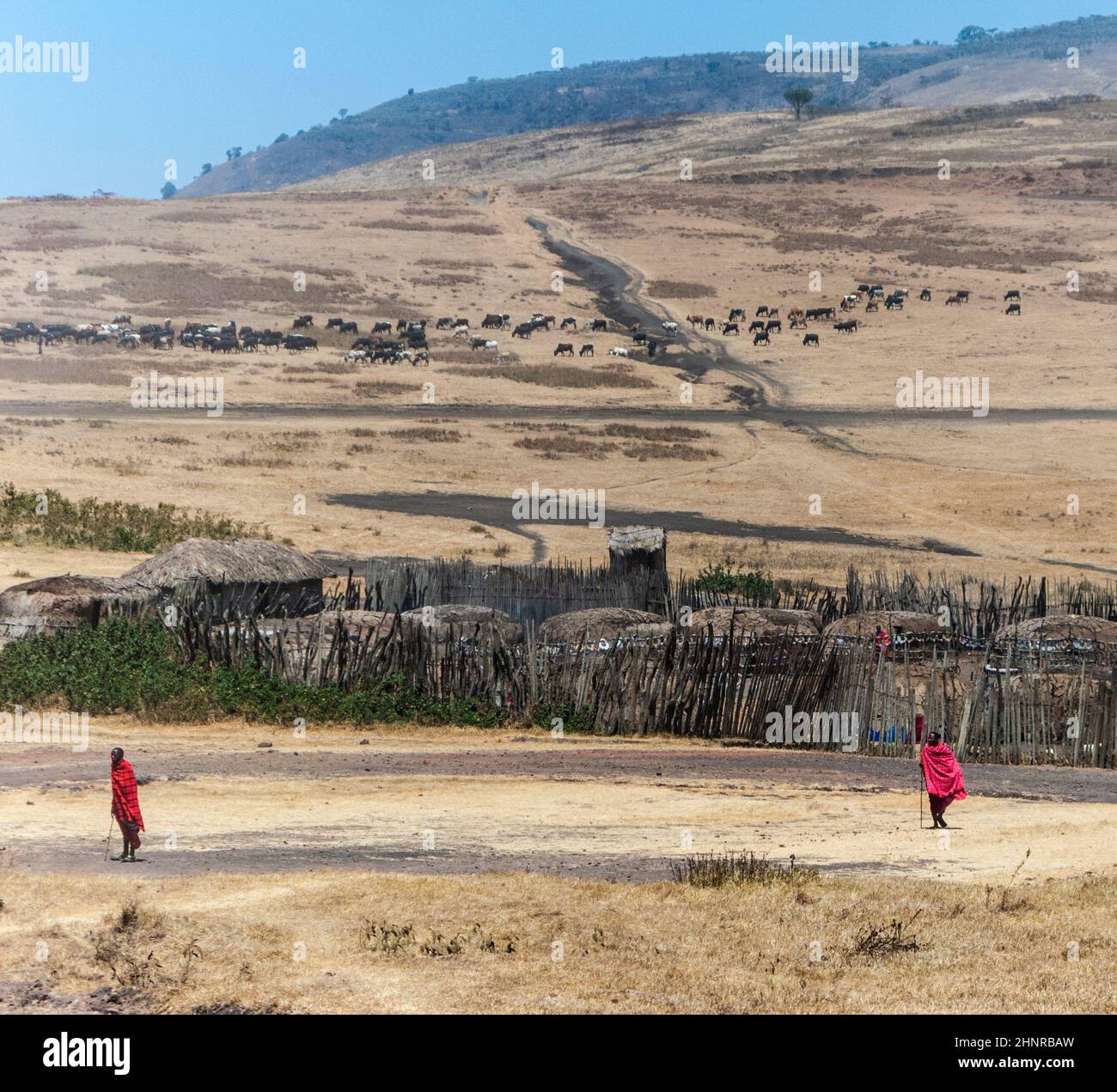 Vista del piccolo villaggio nel parco nazionale di Ngorongoro in tipica architettura locale con la gente Foto Stock