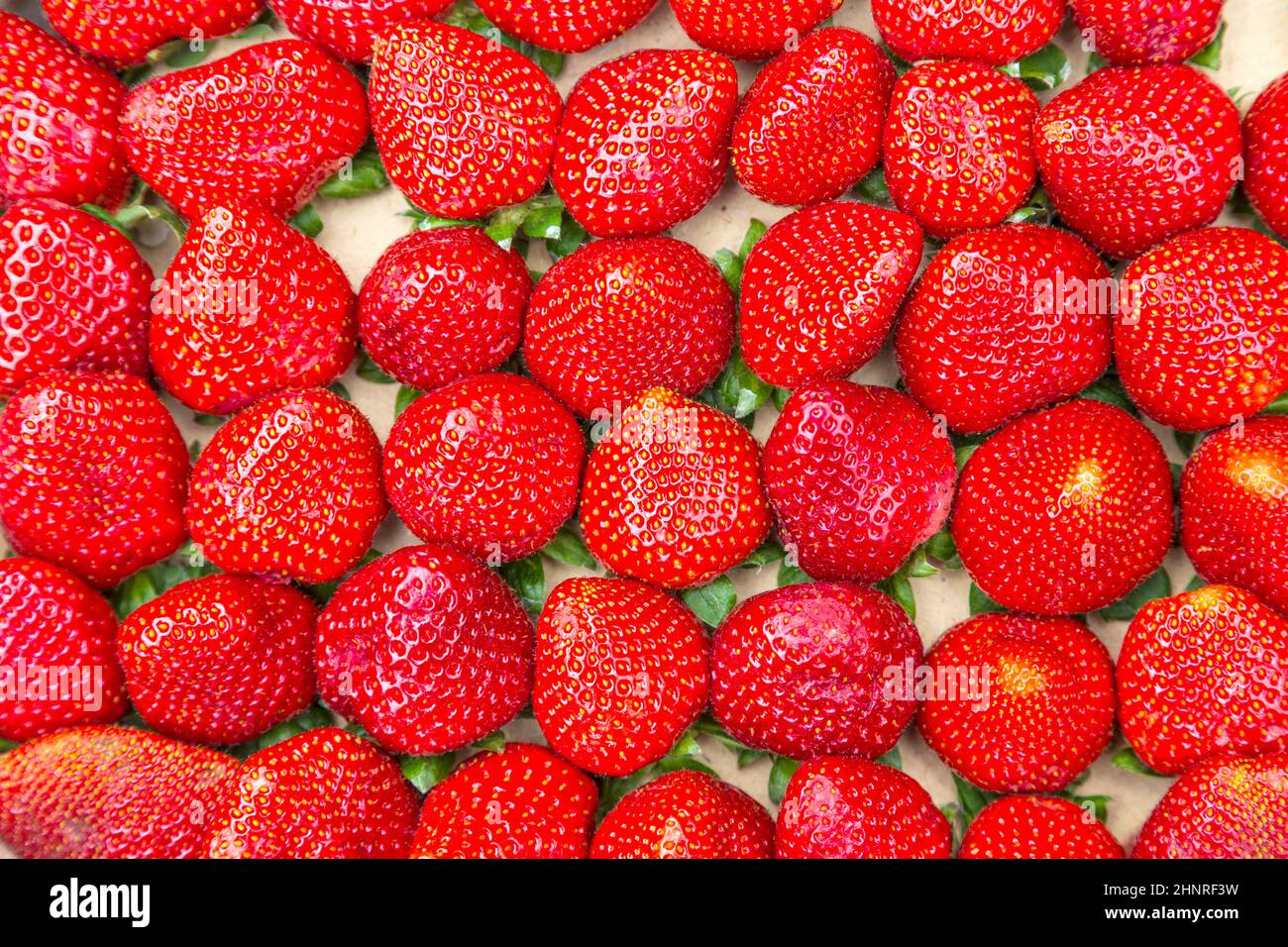Fragole rosse fresche in primo piano Foto Stock