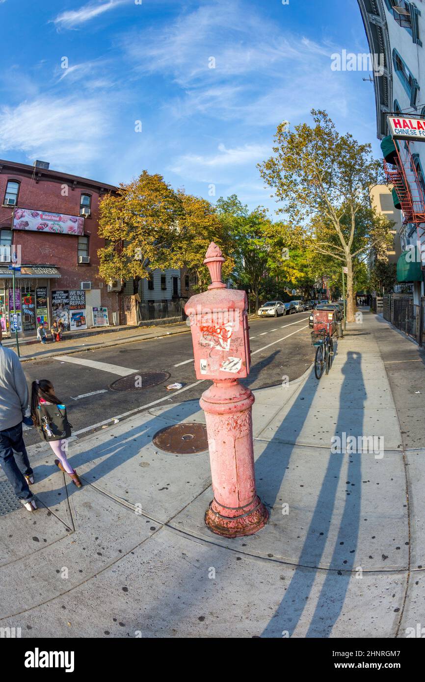 Vecchio telefono vittoriano sos a Brooklyn, New York Foto Stock