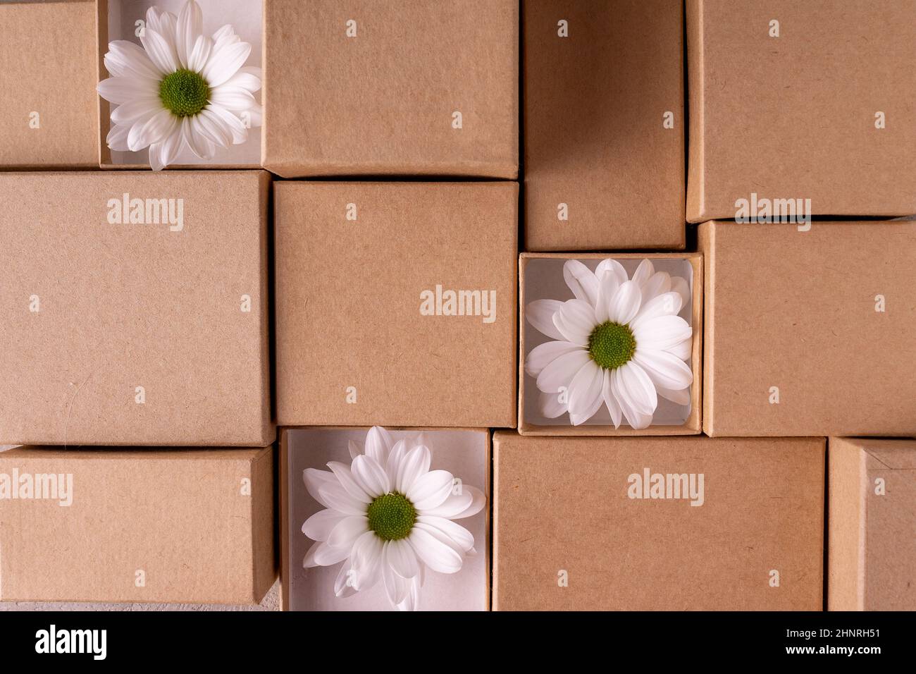 scatole di artigianato con fiori bianchi Foto Stock