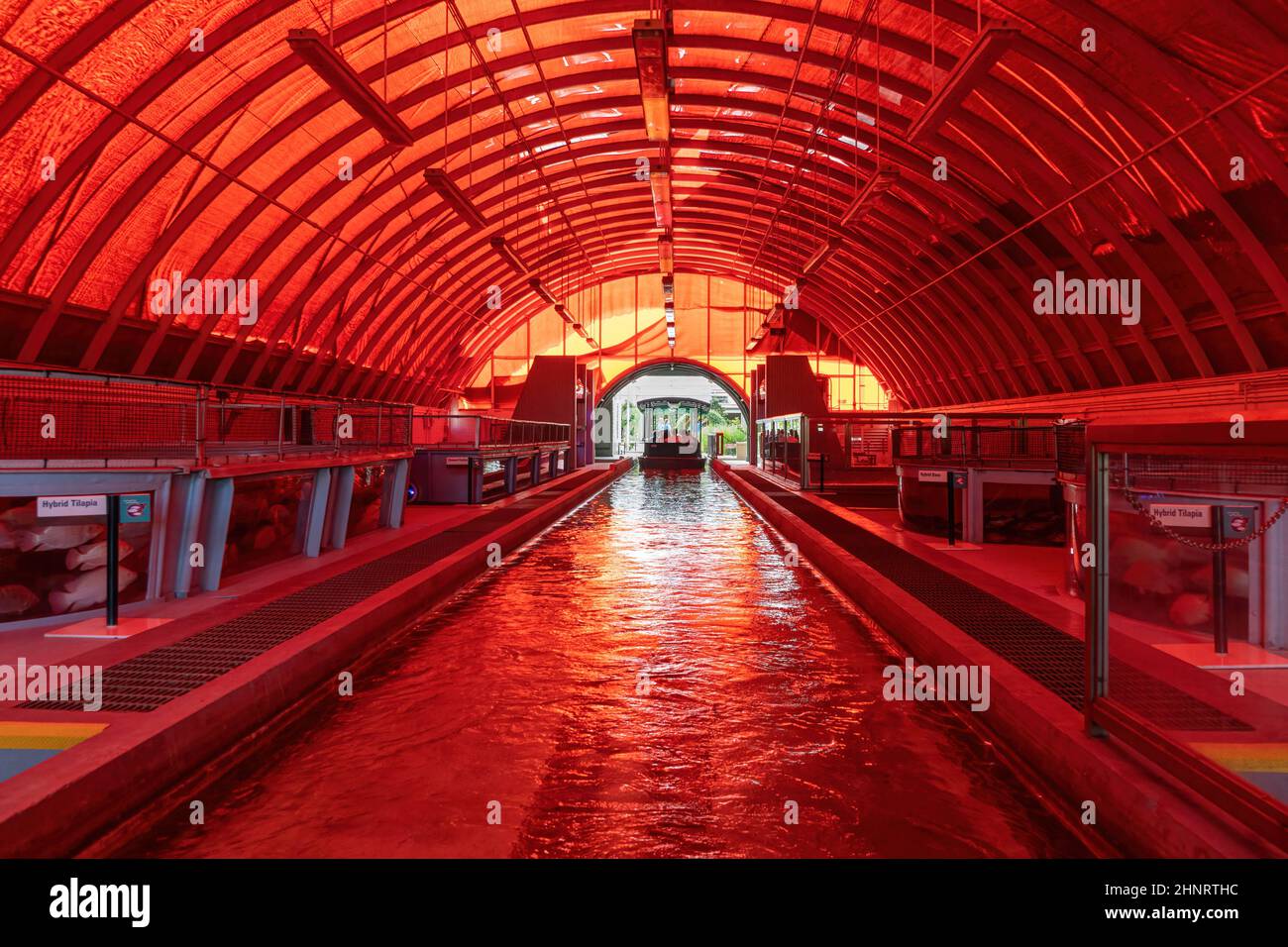 Sezione di aquaculture di vivere con il giro della barca della terra, parco a tema EPCOT, Walt Disney World Resort - Lago Buena Vista, Florida, Stati Uniti Foto Stock