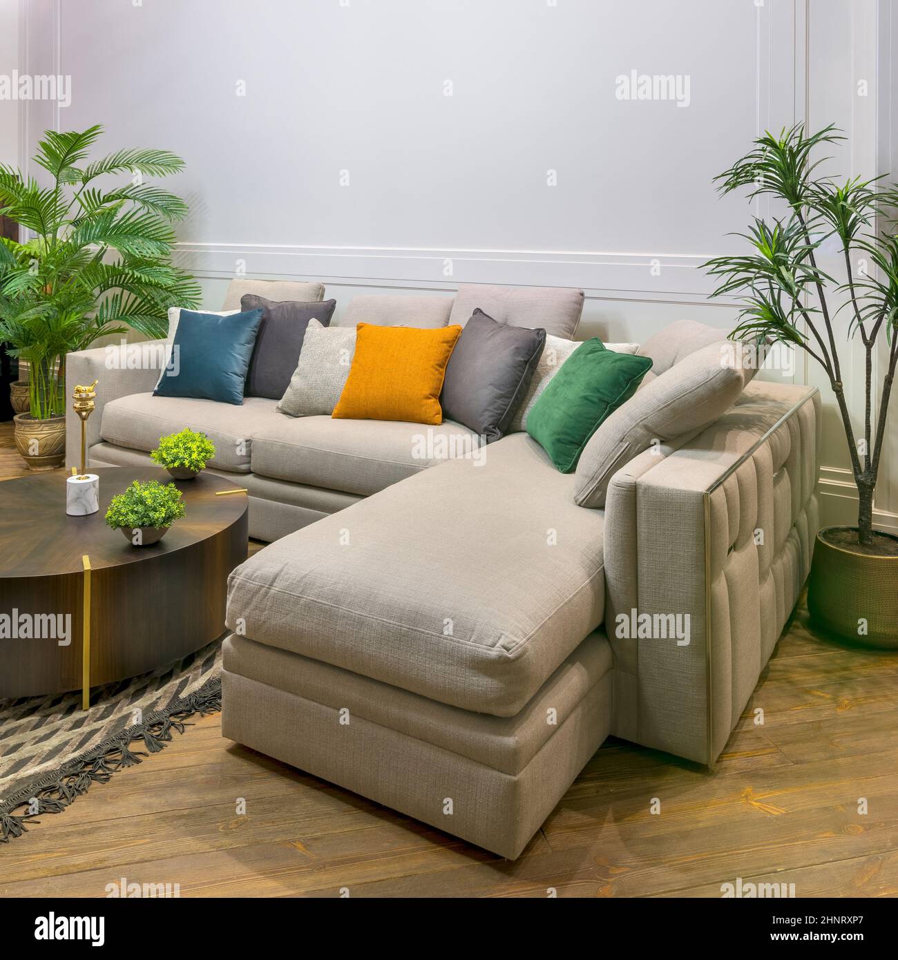 Divano grigio con cuscini colorati posti e tavolo su tappeto in spaziosa  camera moderna con poltrone e piante in vaso verde Foto stock - Alamy