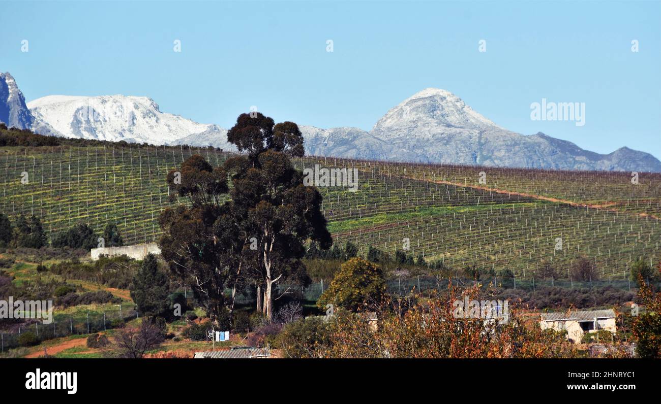 Inverno in Sudafrica Foto Stock