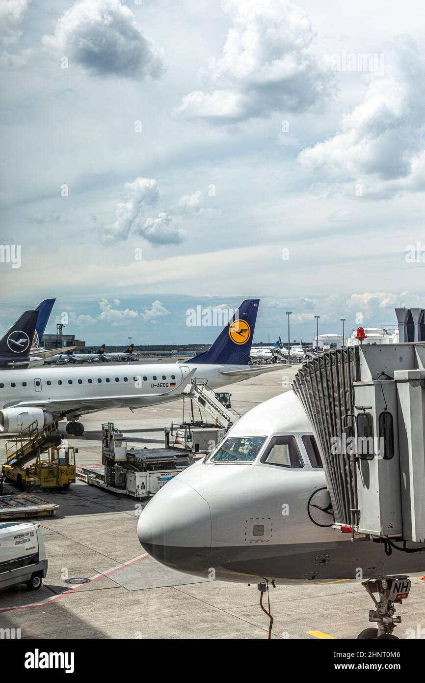 Velivolo Lufthansa a terra pronto per l'imbarco durante la situazione di traffico ridotto dovuta alla corona all'aeroporto di Francoforte. Foto Stock