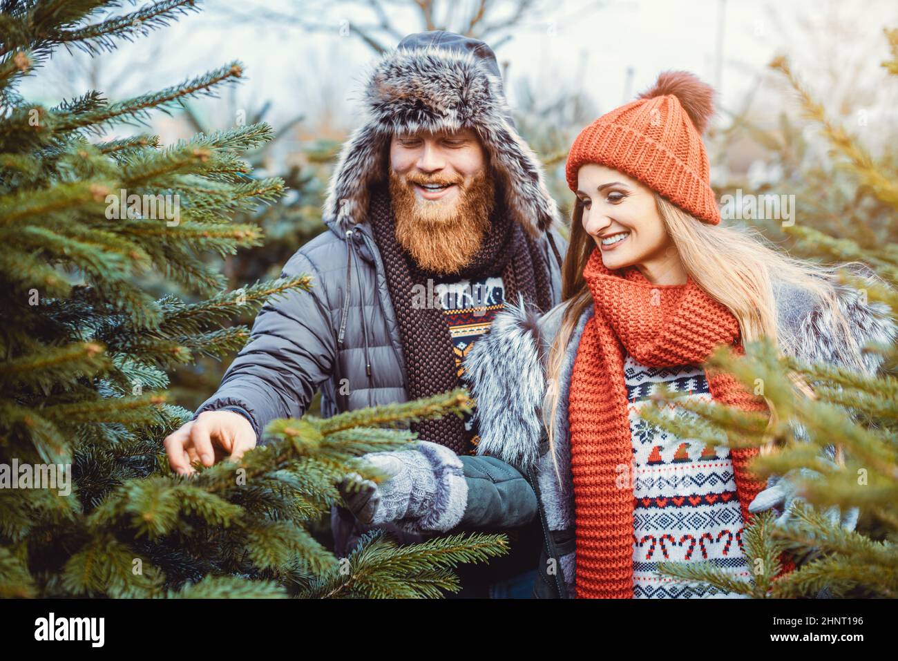 Giovane donna e uomo che sceglie un albero di Natale per la loro casa Foto Stock