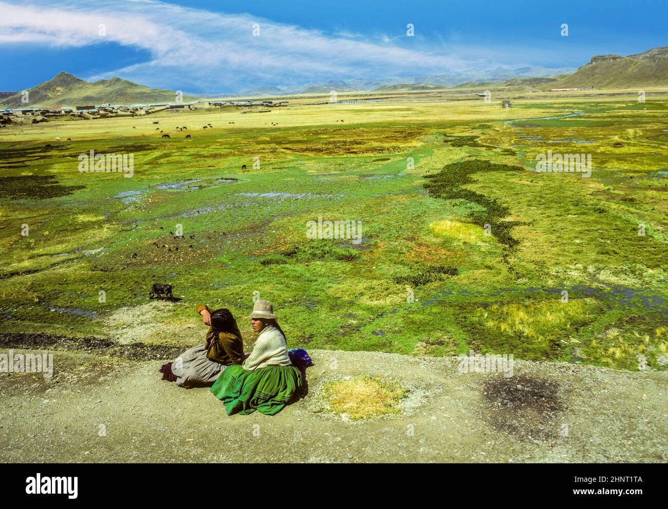 le donne ndio siedono alla piattaforma ferroviaria con l'area dell'altiplano e gli animali sullo sfondo Foto Stock