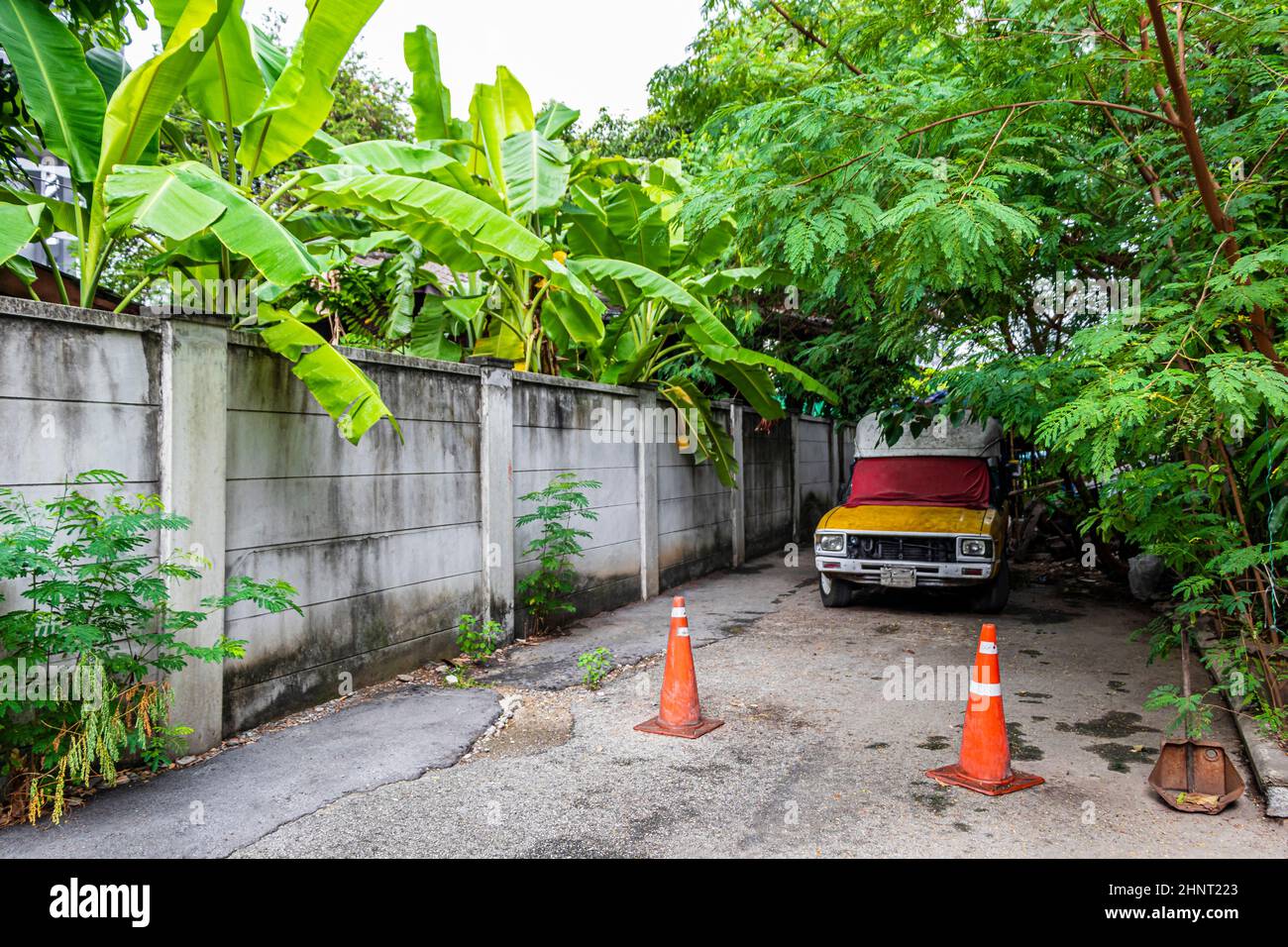 Abbandonata vecchia auto nella foresta tropicale a Bangkok Thailandia. Foto Stock