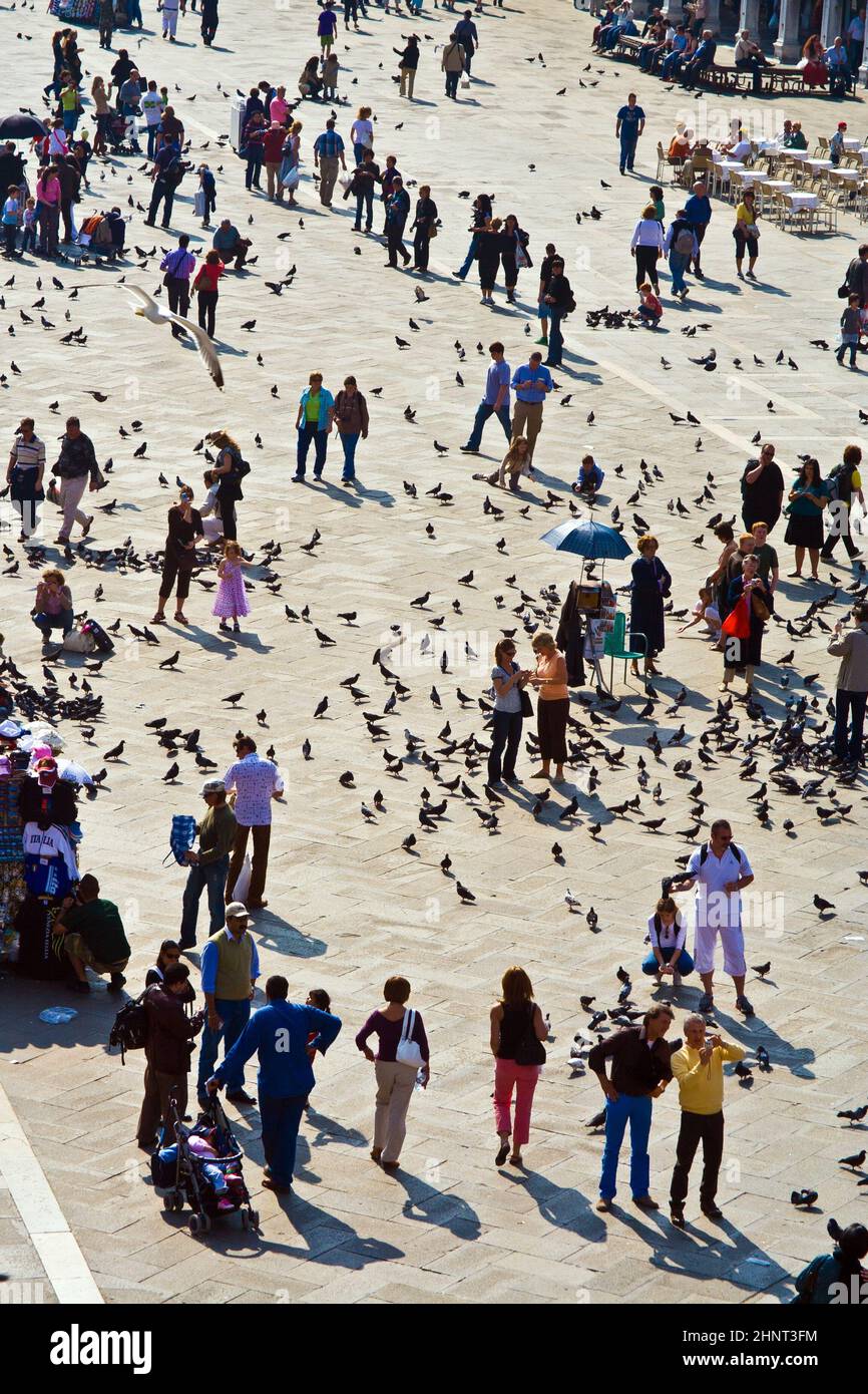 I turisti in piazza San Marco nutrono grandi greggi di piccioni Foto Stock