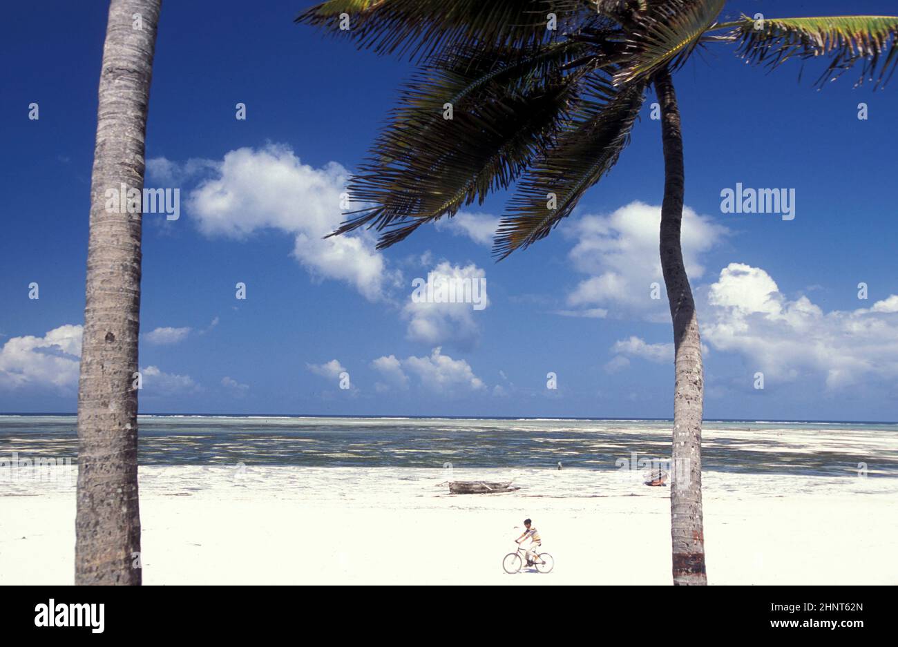 ZANZIBAR BWEJUU PAESAGGIO COSTA ORIENTALE Foto Stock