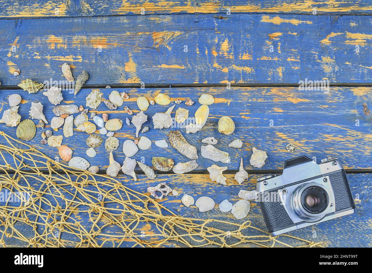 Tempo di viaggio estivo. Sfondo vacanza mare con conchiglie varie. Inserire il testo. Design a posa. Spazio di copia Foto Stock