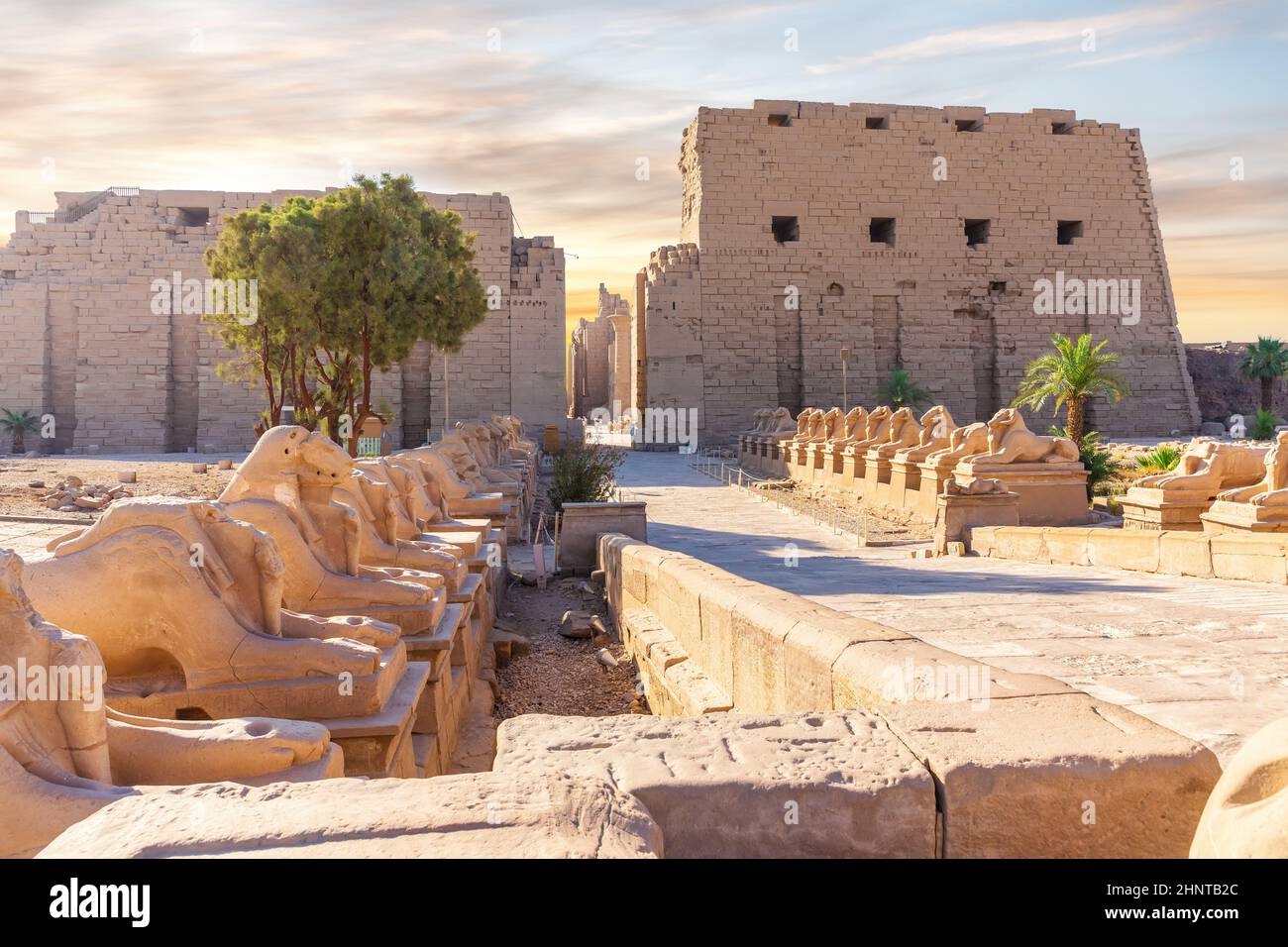 La Via delle Feste del Re o Viale di Sfinge, statue a testa di ariete del Tempio di Karnak, Luxor, Egitto Foto Stock