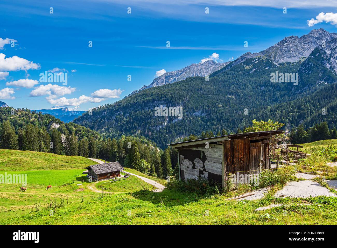 Vista sul pascoli di montagna Litzlalm nelle Alpi, Austria Foto Stock