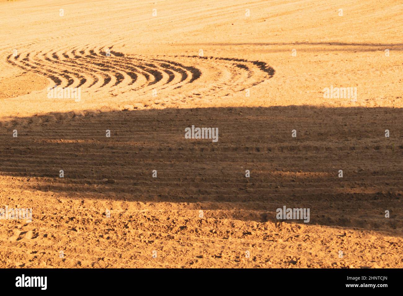 Disegno di creste curve e solchi su un campo sabbioso. Tracce sulla sabbia. Tracce trattore Foto Stock