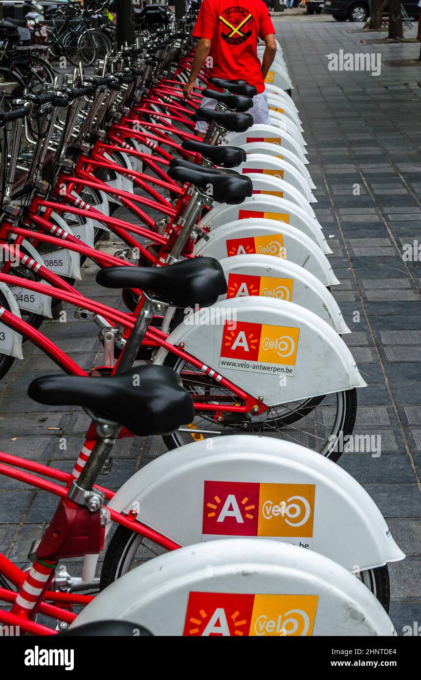 ANVERSA, BELGIO - 22 AGOSTO 2013: Fila di biciclette della società velo, un servizio di condivisione di biciclette ad Anversa, Belgio Foto Stock
