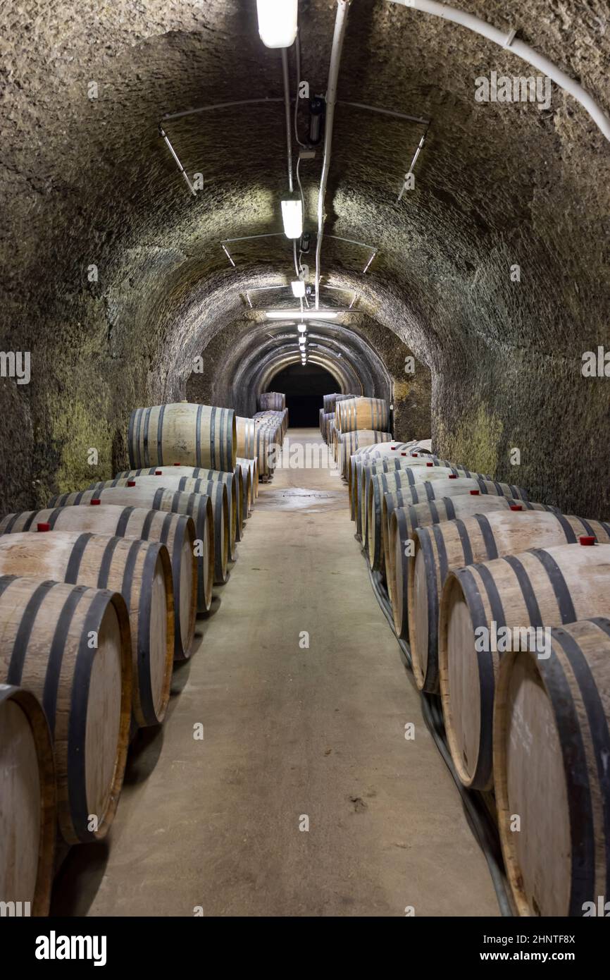 Cantine con botti, vino tradizionale chiamato Bikaver vicino Eger, Ungheria Foto Stock