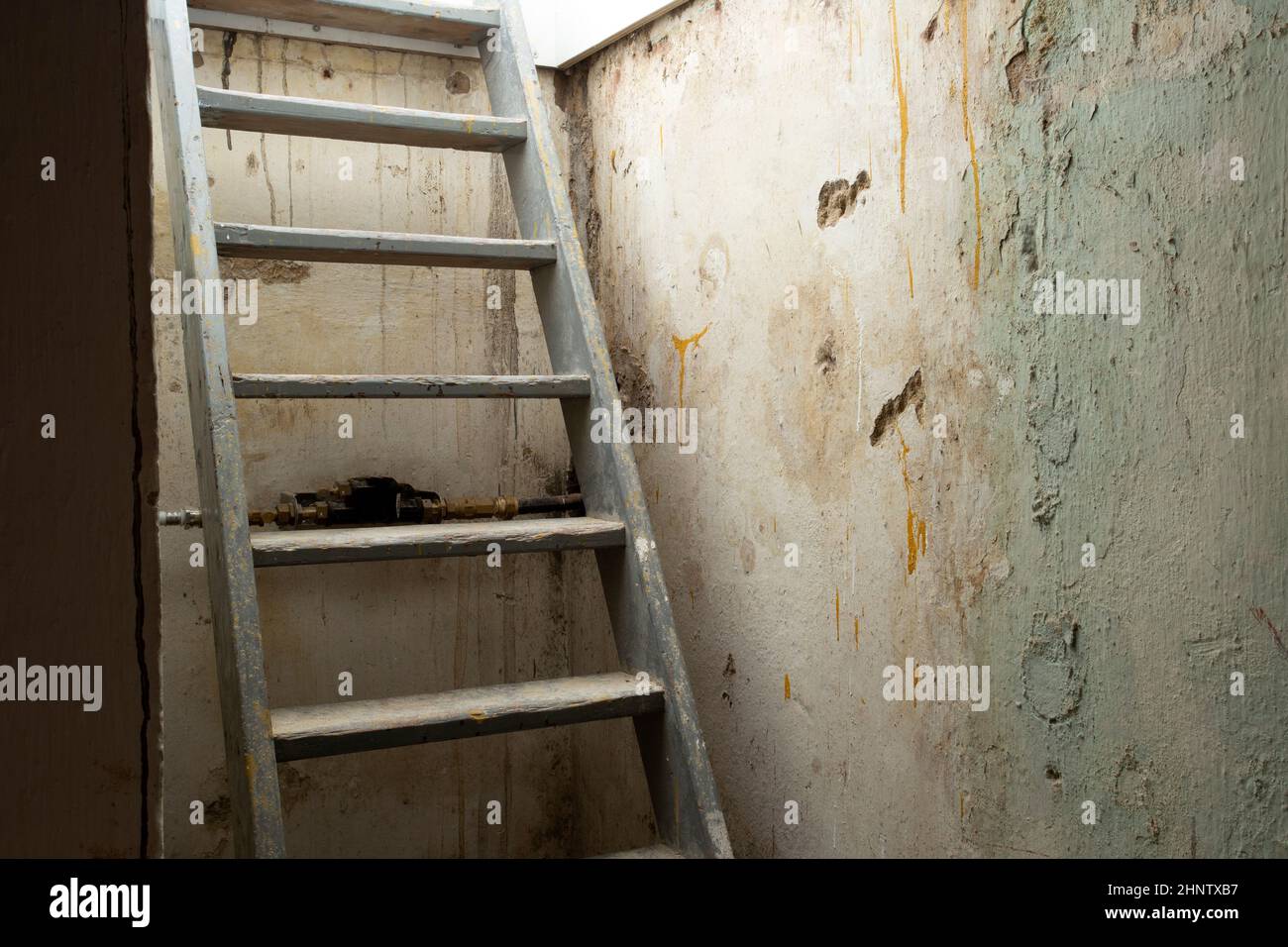 Cantina scale in legno che conducono giù al piano inferiore in pietra e mattoni in seminterrato scuro, vecchio edificio abbandonato spaventoso Foto Stock