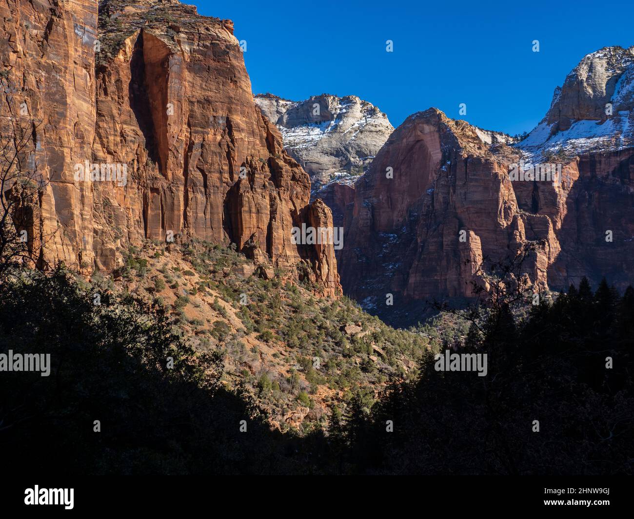 Vista dello Zion Canyon dal percorso Emerald Pool, dal Parco Nazionale di Zion, Utah. Foto Stock