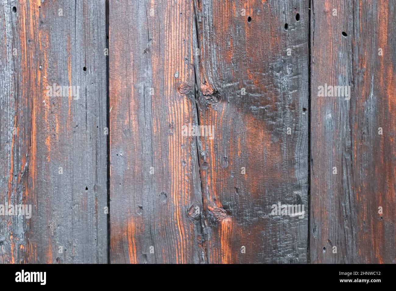 Vista ravvicinata su diverse superfici in legno che mostrano tronchi di assi e pareti in legno ad alta risoluzione Foto Stock