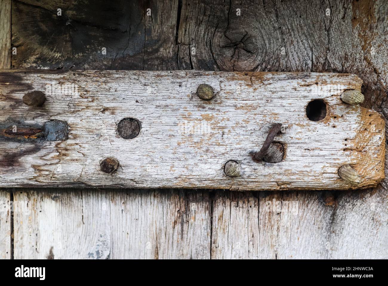 Vista ravvicinata su diverse superfici in legno che mostrano tronchi di assi e pareti in legno ad alta risoluzione Foto Stock