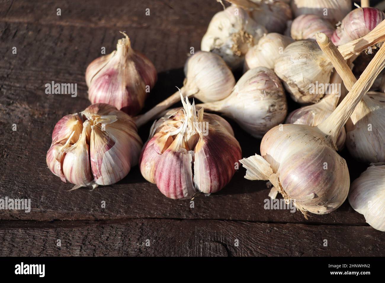 Bulbi di aglio fresco su vecchio asse di legno. Foto Stock