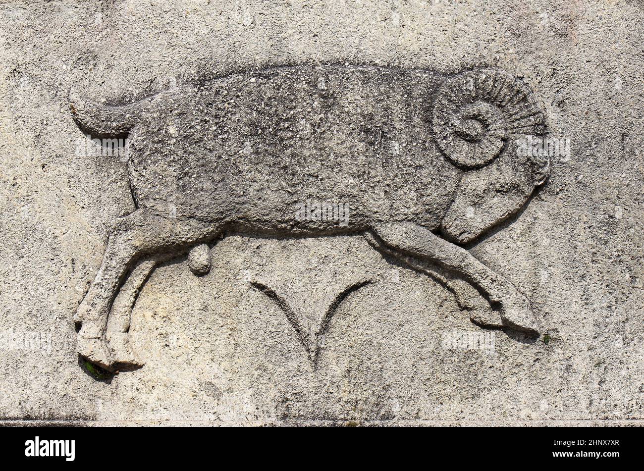 Zodiaco - ariete o RAM , un rilievo di pietra Foto Stock