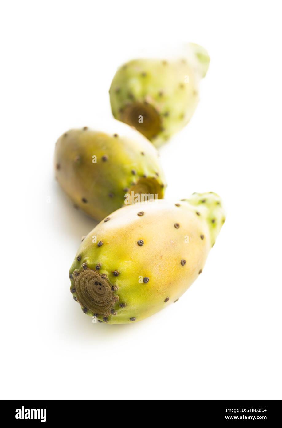Pere crude. Opuntia o cactus indiano fico isolato su sfondo bianco. Foto Stock