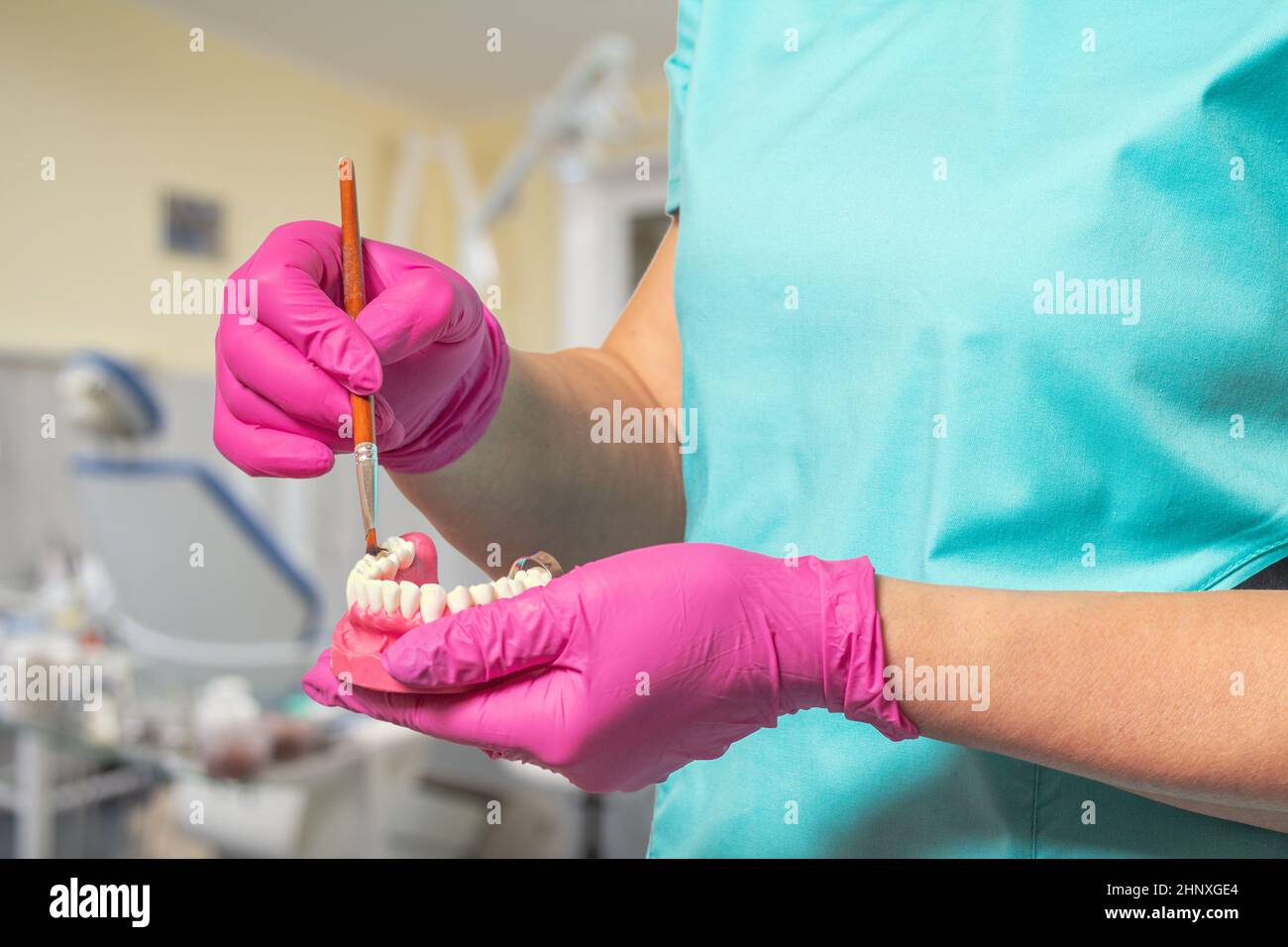 Le mani del dentista con disposizione della mandibola umana e del pennello. Foto Stock