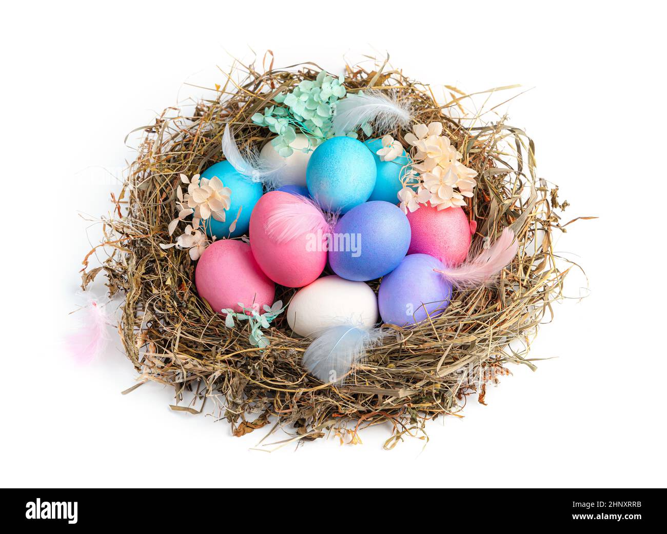 Uova di Pasqua colorate in un nido con piume e fiori isolati su sfondo bianco. Vista laterale, primo piano. Il concetto di Pasqua. Foto Stock