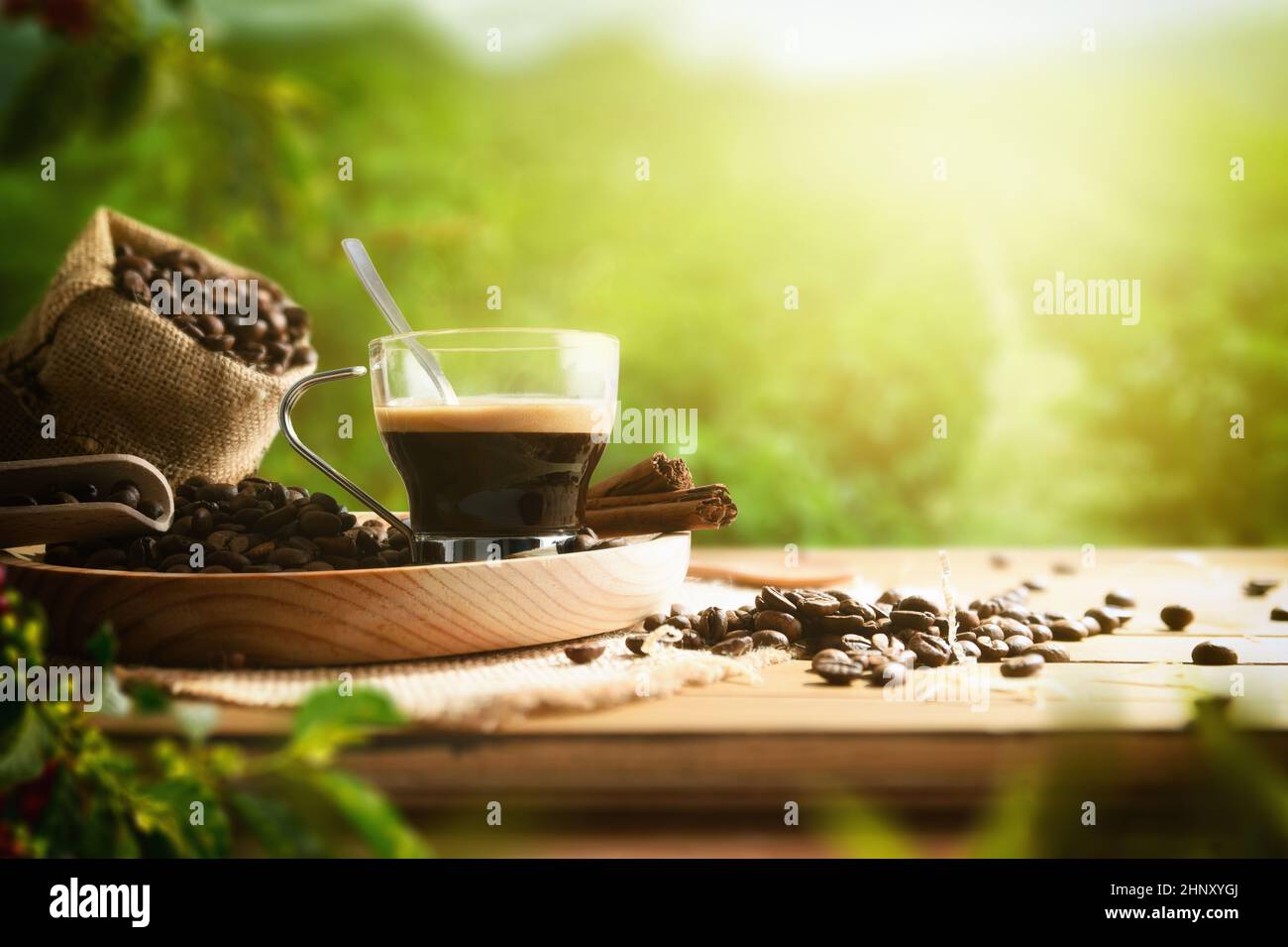 Caffè appena fatto su tavola di legno con sacco pieno di fagioli e piante e campo di caffè sullo sfondo con raggi del sole. Vista frontale. Compos. Orizzontale Foto Stock