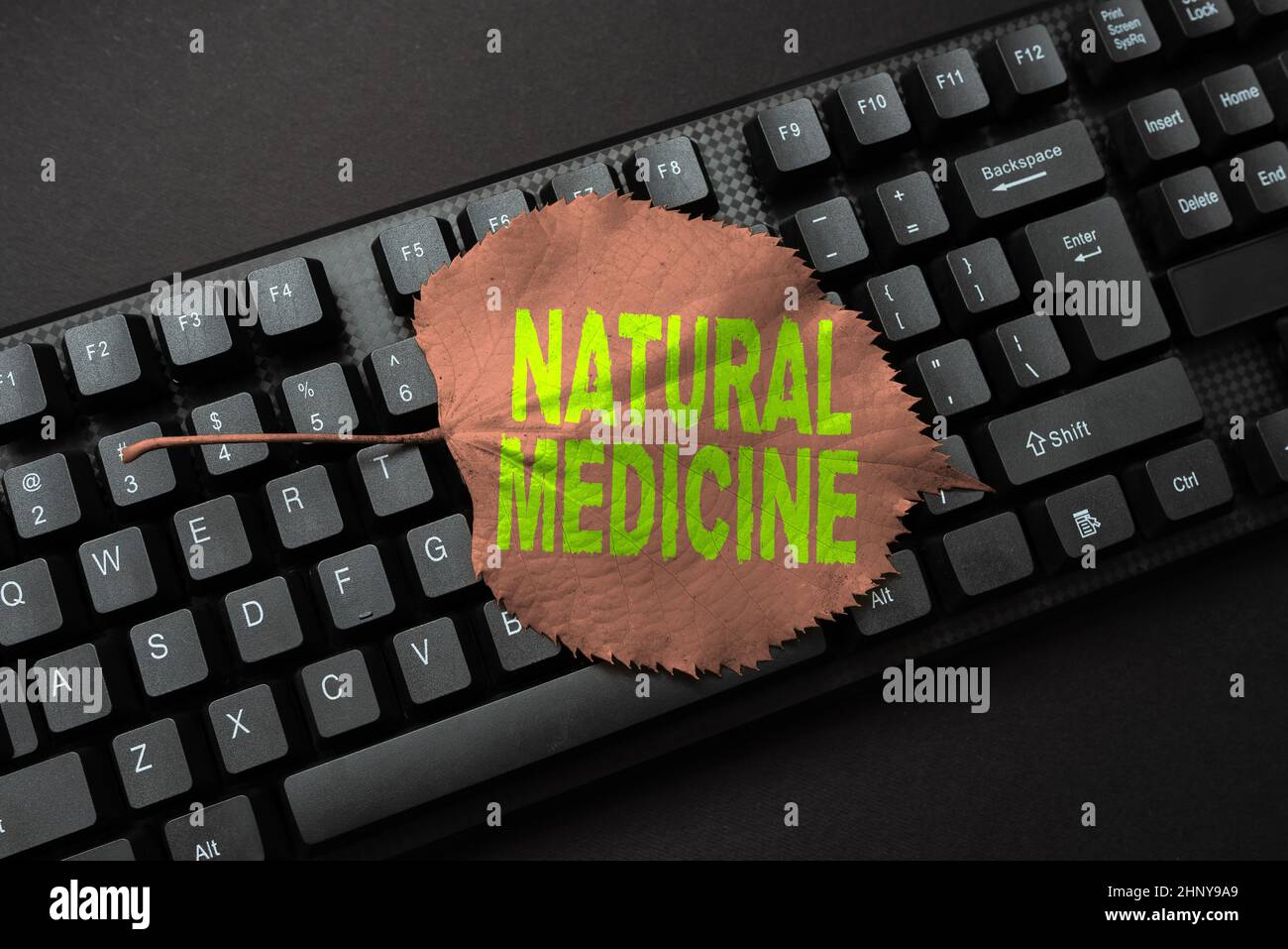 Visualizzazione concettuale Medicina Naturale, idea di business uno qualsiasi dei vari sistemi di guarigione o trattamento delle malattie che compongono nuovo schermo titolo idee, digitando il gioco Foto Stock