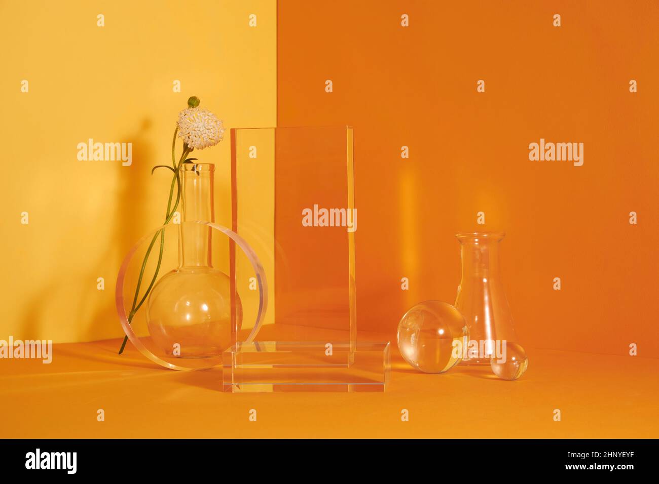 Podio in vetro e scena floreale minimale con nervature su sfondo giallo. Stand per mostrare il prodotto cosmetico. Vetrina su piedistallo moderno in vetro Foto Stock