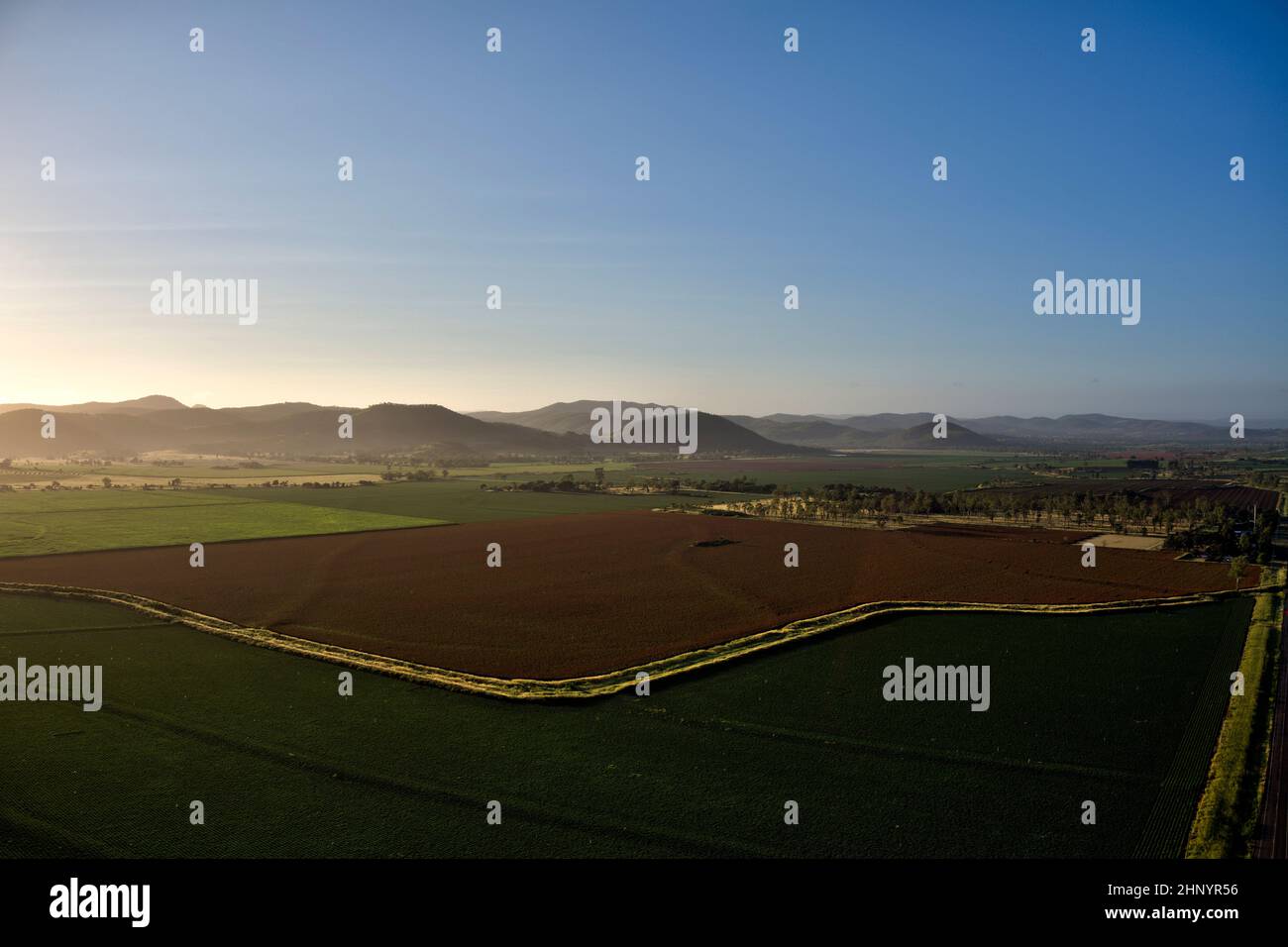 Antenna dei suoli vulcanici rossi che crescono mais a Coalstoun Lakes Queensland Australia Foto Stock