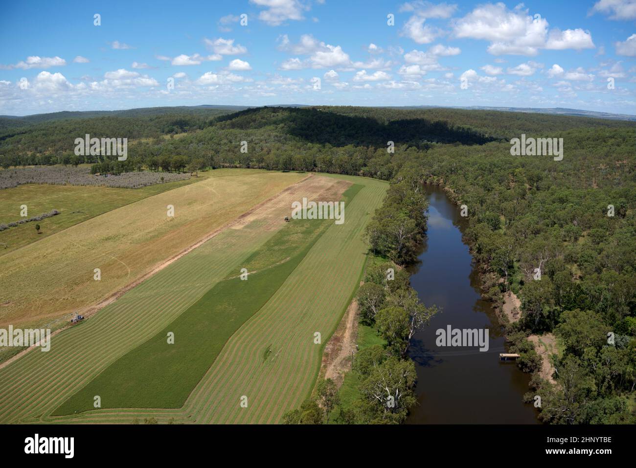 Antenna di coltura irrigua di lucerna sul torrente Barambah vicino a Murgon Queensland Australia Foto Stock