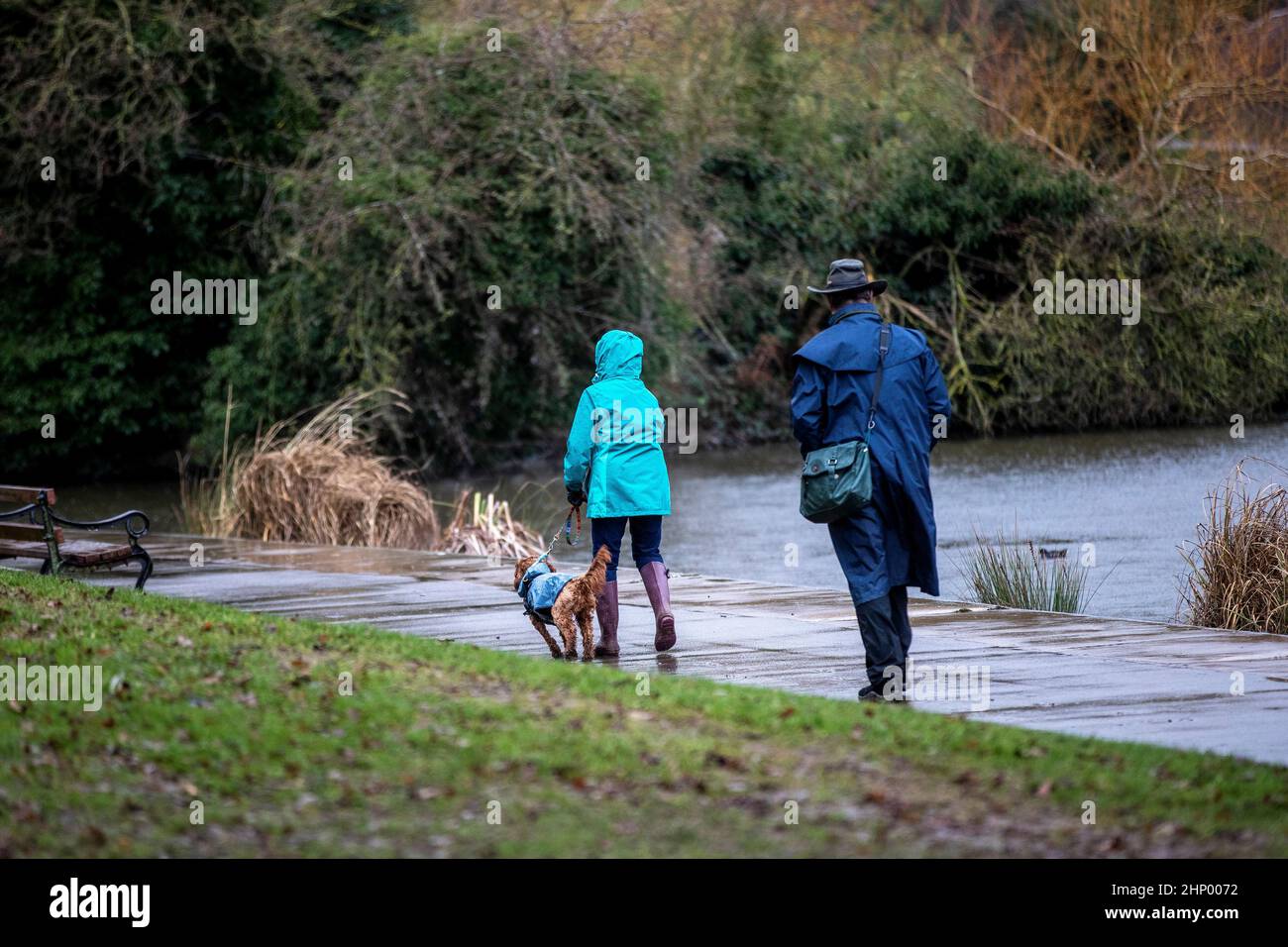 Northampton, Regno Unito. Meteo. 18th febbraio 2022. Forti venti in Abington Park con la gente fuori presto a piedi i cani prima che la piena forza di tempesta Eunice arriva più tardi nel giorno. Credit: Keith J Smith./Alamy Live News. Foto Stock