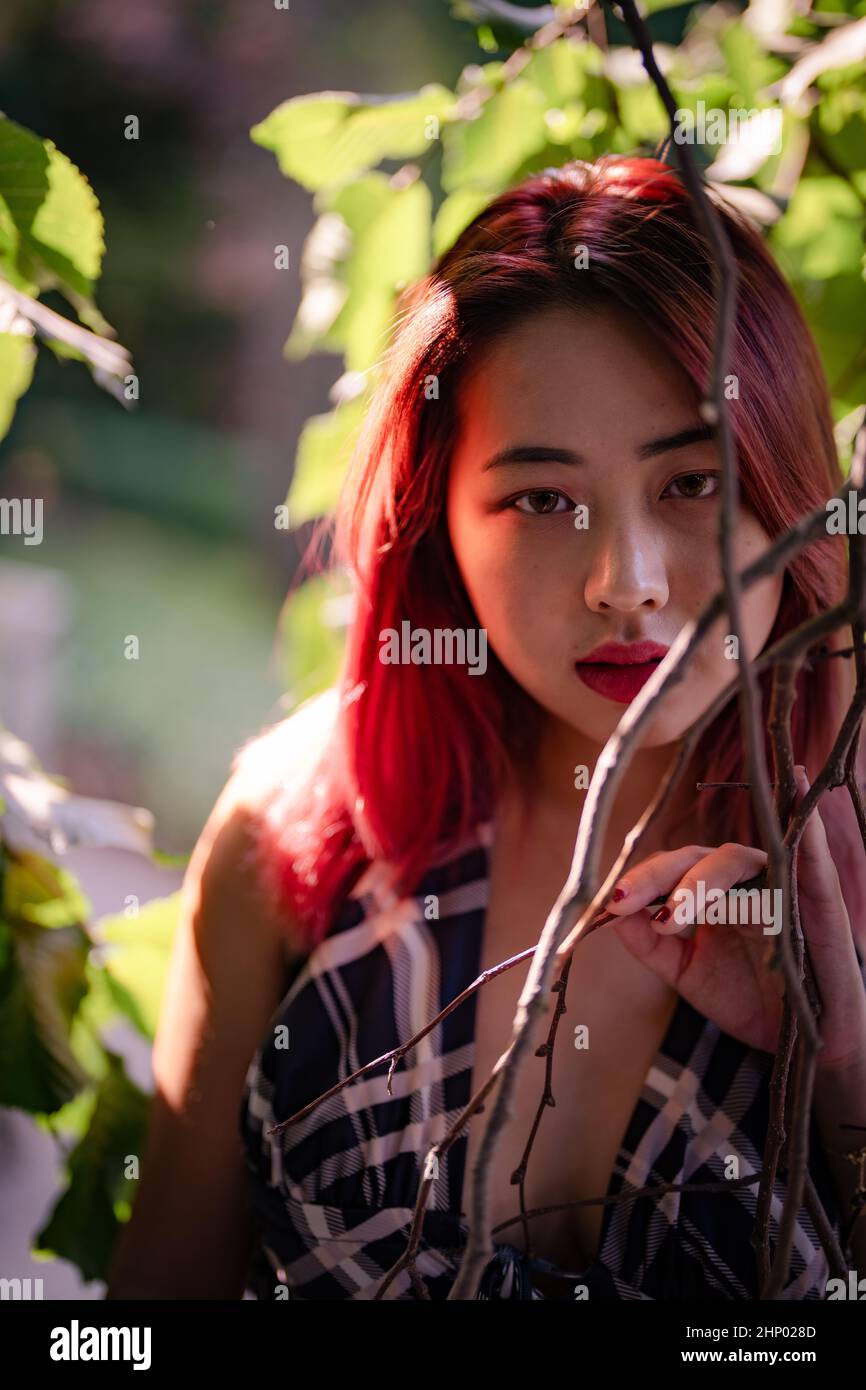 Giovane donna dell'Asia orientale in luce solare applcicata circondata da frondosi rami di albero Foto Stock
