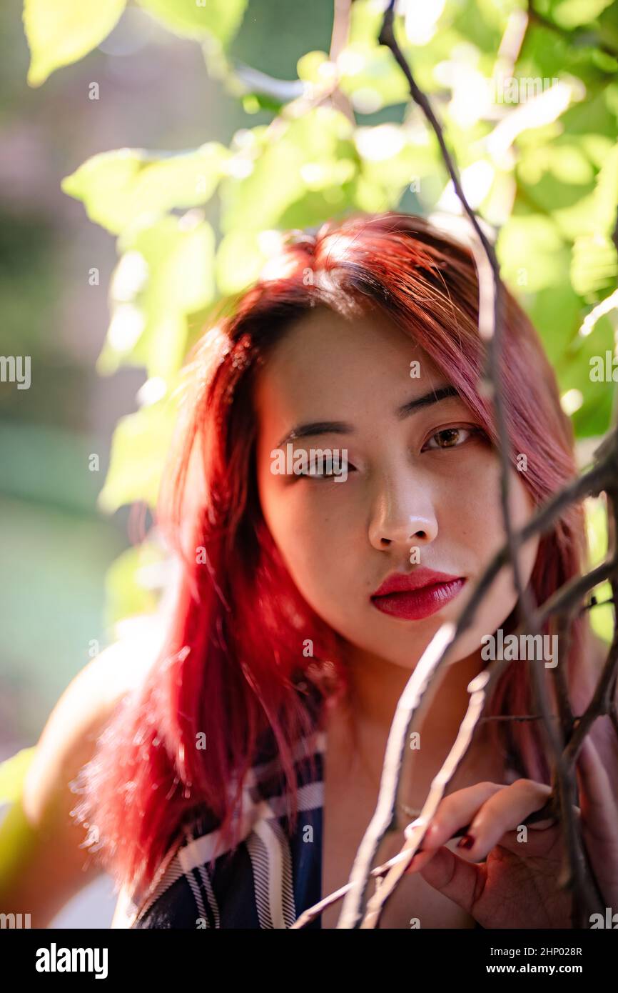 Giovane donna dell'Asia orientale in luce solare applcicata circondata da frondosi rami di albero Foto Stock